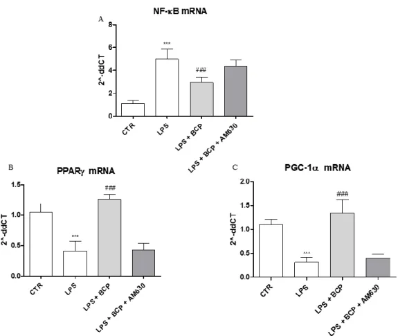 Figure 8. The graphs show qPCR results of (A) NF-ĸB, (B) PPARγ, and (C) PGC-1α mRNA expression 