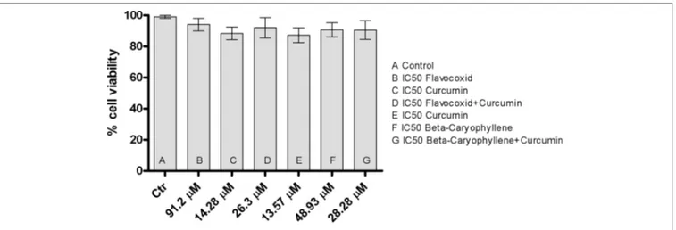 FIgURE 7 | The graph shows cytotoxicity assay at 24 h in control cells (chondrocytes) and in chondrocytes treated with IC 50  doses of flavocoxid, BCP, curcumin 
