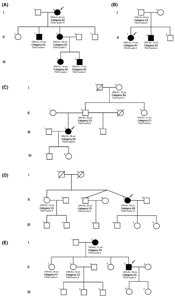 Fig. 4 Clinical characterization of families in which a DRA segregates. Five families are presented