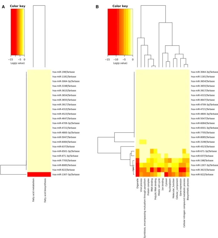 Fig. 3. Hierarchical clustering of features by mirPath analysis. As evidenced in heat maps from KEGG (A) and GO (B) mirPath analysis, several predicted pathways (two for KEGG, 15 for GO) were statistically associated to considered miRNAs.