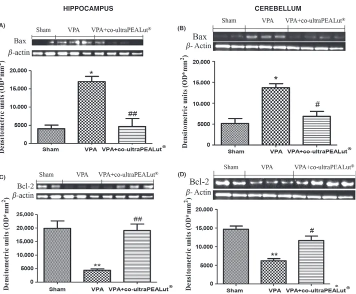 Figure 4 Effects of co-ultramicronized PEA-LUT  treatment on Bax and Bcl-2 expression in VPA-treated mice