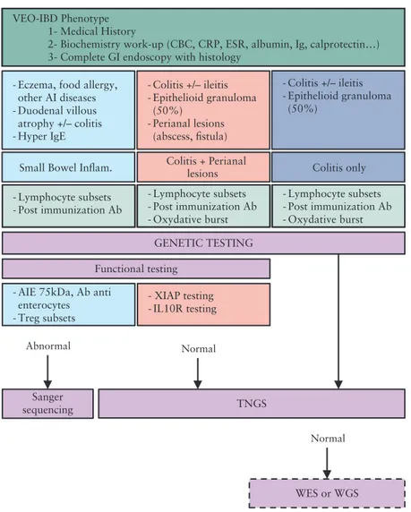 Figure 2.  Proposed algorithm for molecular diagnosis in VEO-IBD. VEO-IBD: very early-onset inflammatory bowel disease; CBC: cell blood count; CRP: C-reactive 