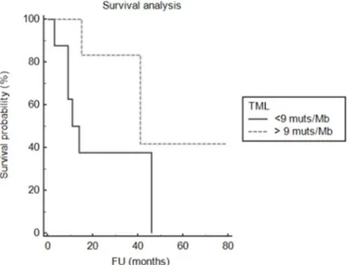 Figure 6. Impact of tumour mutational load on clinical outcome. Overall survival analysis 