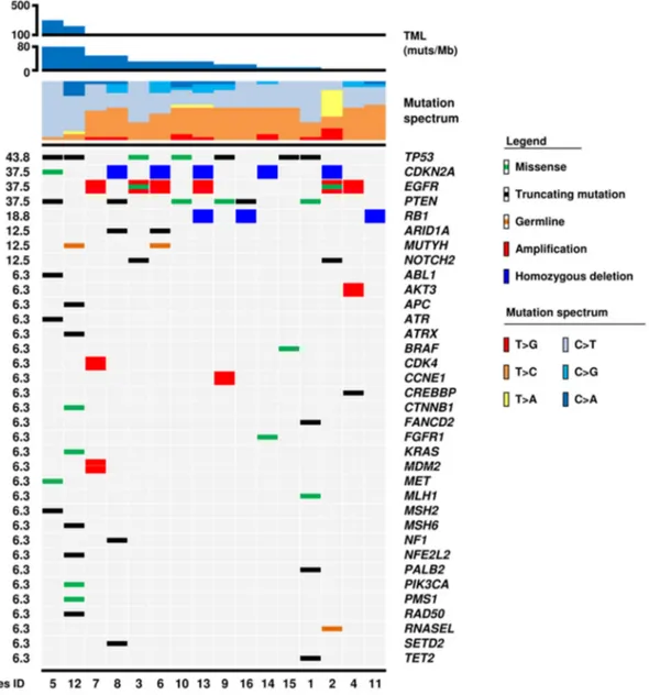 Figure 2. Genomic landscape of 16 IDH-wt glioblastomas. The matrix shows 36 genes that were al- al-tered at sequencing analysis; molecular alterations are annotated as illustrated in the panel below