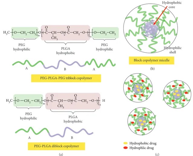 Figure 4: Main characteristics of PEG–b-PLGA (diblock and triblock) copolymers (a). Micellar self-assembly (b) and hydrophilic/hydrophobic drug encapsulation characteristics (c).