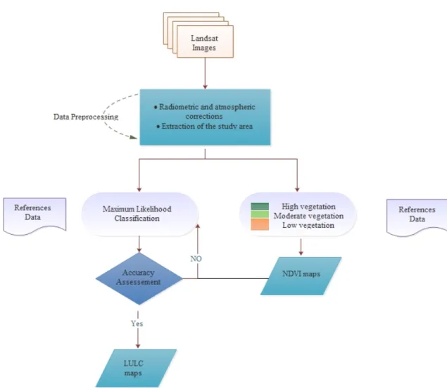 Figure 2. Flowchart of the methodology adopted.  3.2. NDVI Classification 