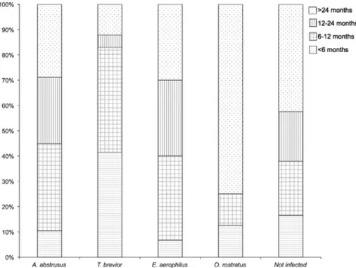 Fig. 2. Distribution (as a percentage) of cats uninfected and infected by lungworms (Aelurostrongylus abstrusus, Troglostrongylus brevior, Eucoleus aerophilus, Oslerus rostratus) according to their age classes.