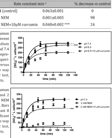 Fig. 5.  Time course of  SO 4 = uptake in human 