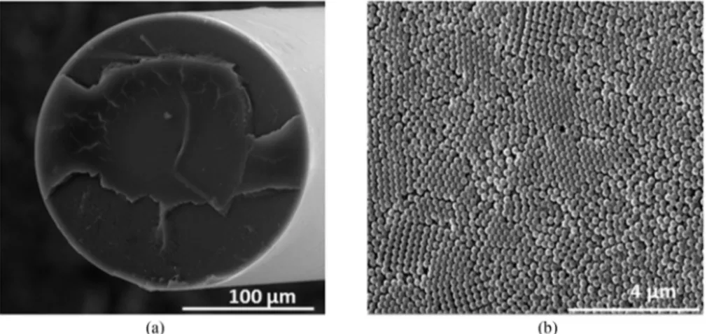 Fig. 2. SEM micrographs of periodic structures formed upon deposition of a PS photonic crystal on the optical fiber tip.