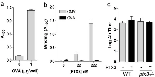 Fig 6. Antibody titer in mice immunized with OVA. Immune response to OVA was analyzed in WT and ptx3-/- mice