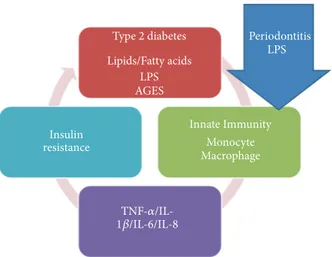 Figure 2: Immunological diabetes aspects and periodontitis.