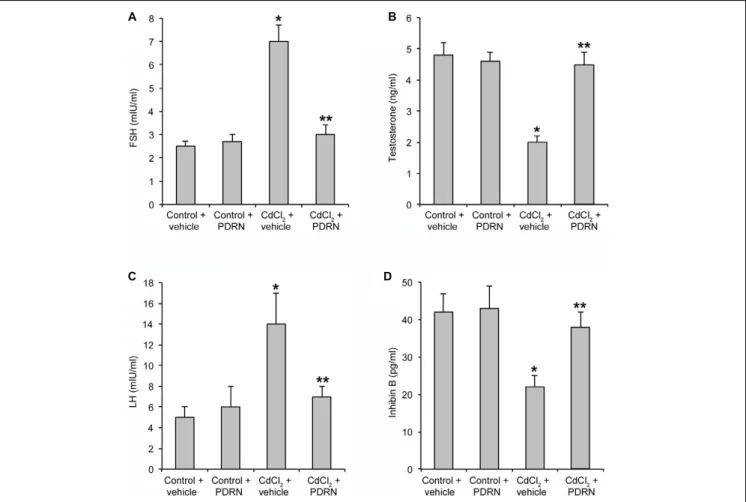 FIGURE 2 | Levels of FSH (A), TE (B), LH (C), and inhibin B (D) in testes collected from control plus vehicle, control plus PDRN (8 mg/kg i.p.), CdCl 2 (2 mg/kg/day