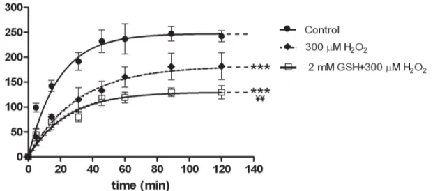 Fig 4 shows that morphological changes induced by 300 μM H 2 O 2 were impaired by 2 mM