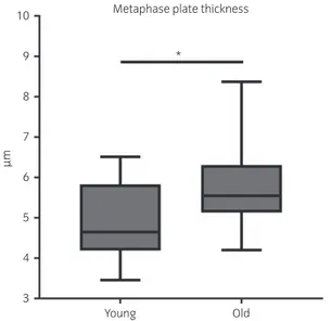 Fig 4: Box plot representation of metaphase plate thickness in the oocytes of mares of different ages (young: ≤14 years and old: ≥16 years)