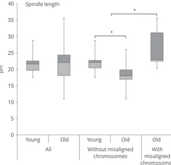 Fig 5: Box plot representation of spindle length (pole-to-pole) in the oocytes of mares of different ages (young: ≤14 years and old: ≥16 years) and morphological (aligned vs