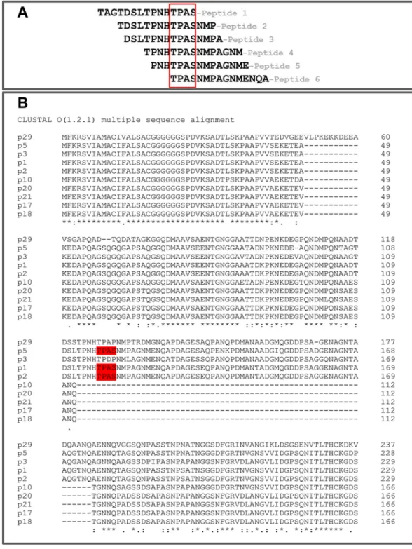 Fig 5. Immunoreactivity of mAb3 1E10/E7 against a panel of overlapping 15-mer peptides spanning the entire sequence of ten different NHBA variants (p1, p2, p3, p5, p10, p17, p18, p20, p21 and p29) spotted in a microarray