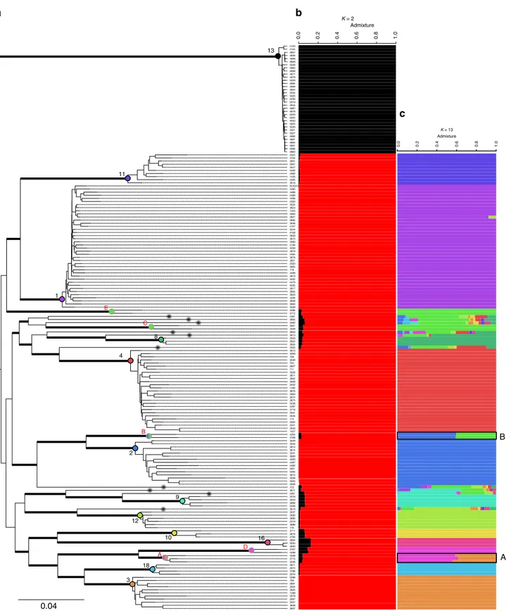 Fig. 2 Phylogenetic relationships and population structure of Candida albicans. a Maximum likelihood tree showing phylogenetic relationships between the 182 isolates used in this study; Thick bars represent bootstrap supports &gt;95% (bootstrap analysis of