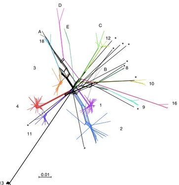 Fig. 3 Neighbor-net of Candida albicans. Neighbor-net analysis for 182 isolates collected worldwide based on SNP data