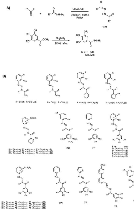 Figure 2.  General synthesis for N-acylhydrazones 1–27 and hydrazides 28 and 29 (A). Chemical structures  of compounds 1–27 (B)