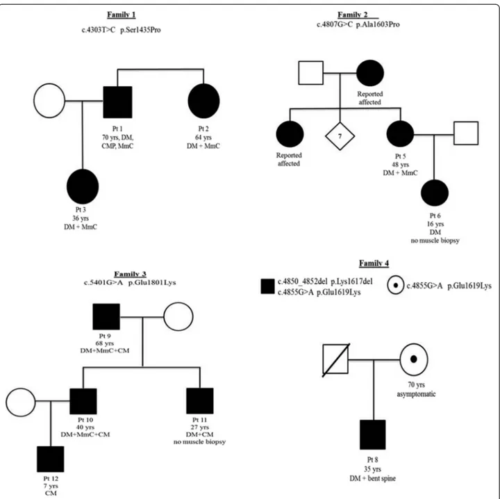 Fig. 1 Pedigrees of the familial cases
