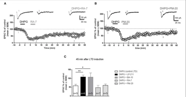 FIGURE 4 | RA-7 and PM-20 did not reverse mGluR-LTD in the hippocampus of wild-type mice