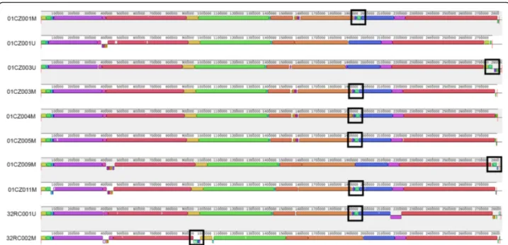 Fig. 4 Multiple whole-genome alignment of MRSA from farms 01CZ and 32RC. Fully assembled sequences were compared with