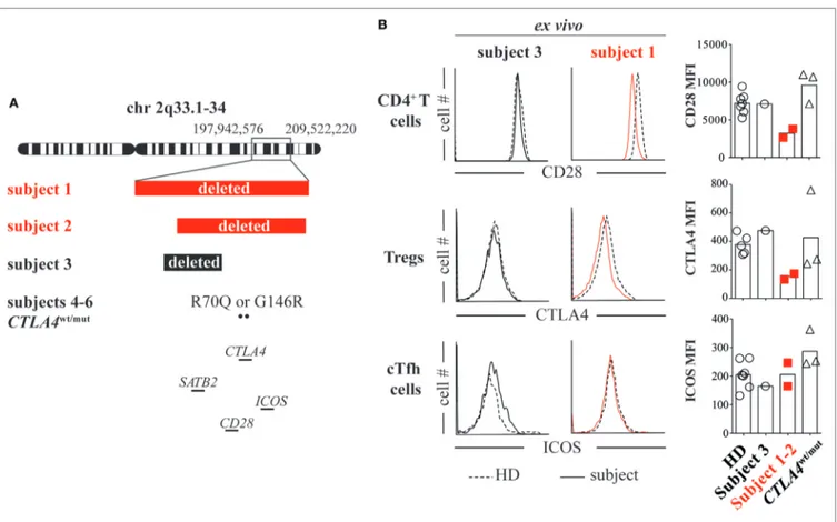 FIGURe 1 | Heterozygous loss of the CD28/CTLA4/ICOS gene cluster decreases CD28 and cytotoxic T-lymphocyte-associated protein 4 (CTLA4) but not inducible  T-cell costimulator (ICOS) expression