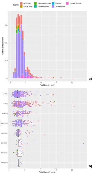 Figure 8.  Pelagic polychaetes community collected in Southern Adriatic Sea. (a) Size distribution of measured  Total Length of the specimens (N = 1154) and (b) its dependence on the capture depth range (for each layer,  boxplot and medians are indicated; 