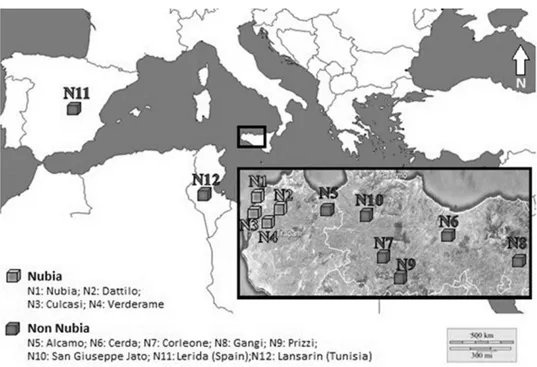 Figure 1.  Geographic localization of Nubia and Non Nubia garlic samples. 