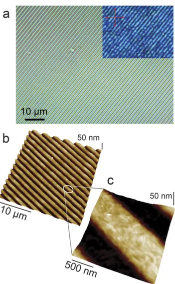 Figure 2a shows an optical micrograph of J-aggregates printed in parallel micrometric stripes