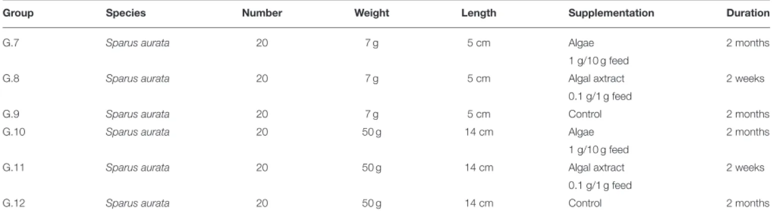 TABLE 2 | Sea bream experimental groups submitted to the in vivo trials.