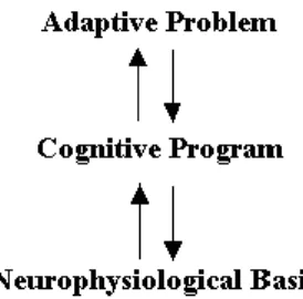 Figure  1.  Three  complementary  levels  of  explanation  in  evolutionary  psychology