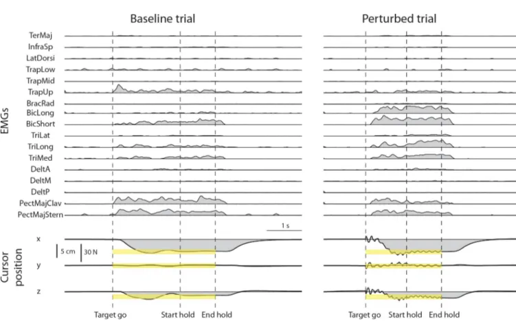 Fig 5. Examples of muscle activity and cursor position time-course in a baseline and a perturbed trial