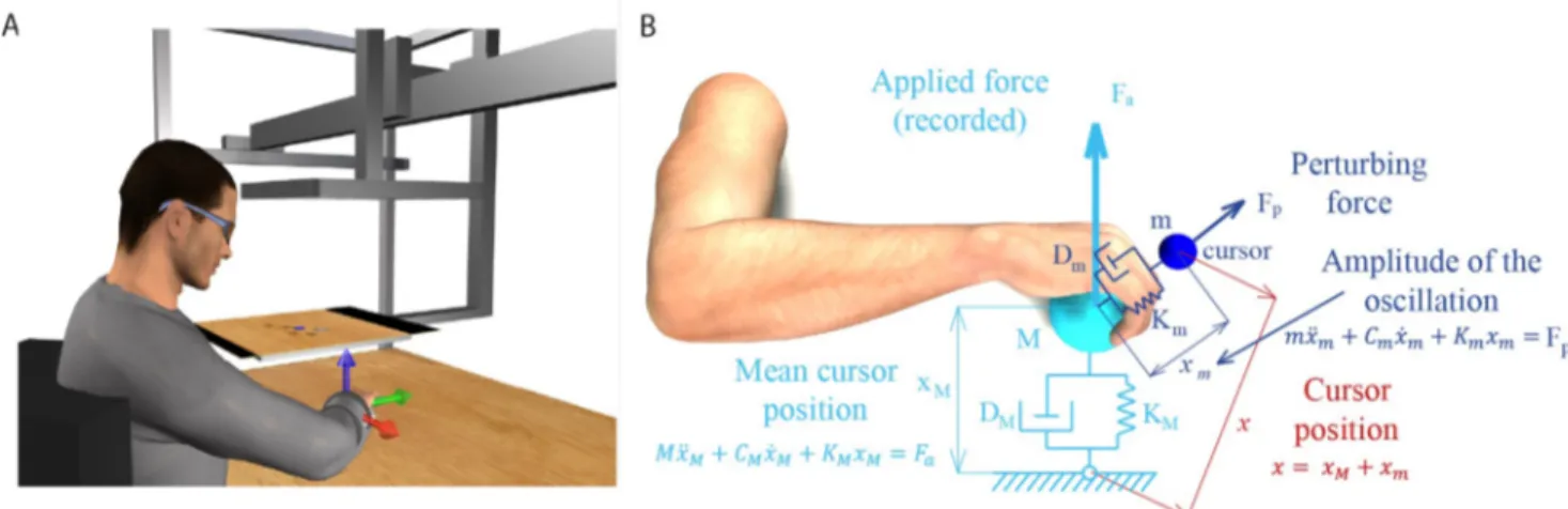 Fig 1. Experimental apparatus and cursor motion modeling. (A) Subjects sat in front of a desktop and inserted their right forearm into a splint connected to a 6 axis force transducer