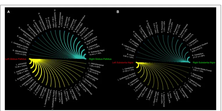 FIGURE 2 | Connectograms showing the connectivity density profile of globus pallidus (A) and substantia nigra (B) of the right and left sides.