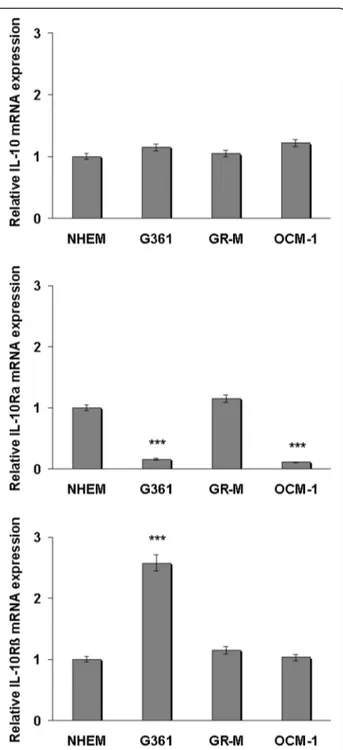 Fig. 1 Expression levels of IL-10, IL-10R α, and IL-10Rβ in cutaneous and uveal melanoma cell lines