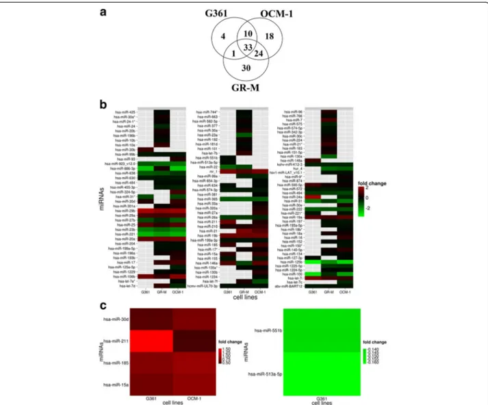 Fig. 2 miRNA expression profiles in cutaneous and uveal melanoma. a Venn diagram illustrating the common and specific miRNAs in the indicated cells