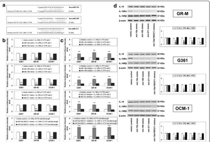 Fig. 3 IL-10R α is the direct target of miR-15a, miR-185, and miR-211 a Schematic representation of the predicted interaction of miR-15a, miR-185, and miR-211 with IL-10R α 3′UTR site