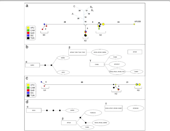 Fig. 2 Network analysis. a, b cox1 dataset; c, d nad1 dataset. a, c Median-joining networks with haplotypes coloured according to their geographical distribution