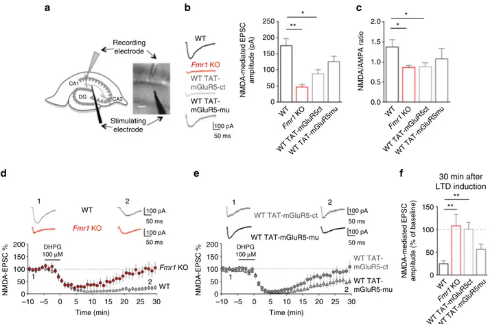 Fig. 5 Disruption of mGluR5/Homer coupling alters synaptic NMDAR function and plasticity