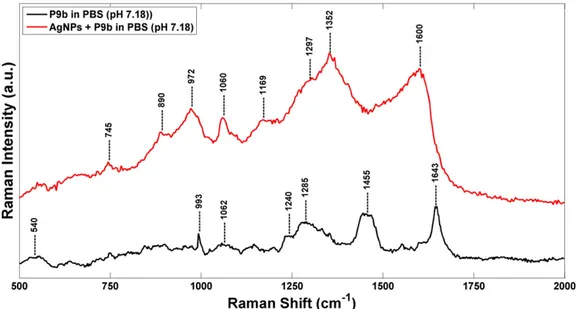 Fig. 7. Schematic showing the primary structure and domain organization of the pVIII major coat protein in phage M13