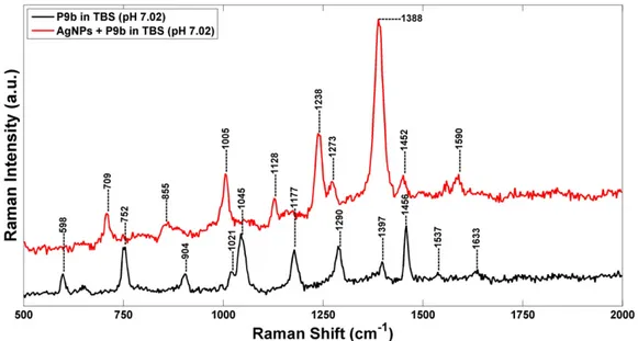 Fig. 8. Raman spectra of AgNPs-P9b networks in TBS (pH 7.02).