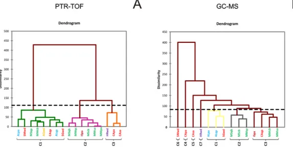 Figure 3.  Results of aggregative hierarchical clustering (AHC) performed on PTR-TOF (A) and GC-MS data  (B)