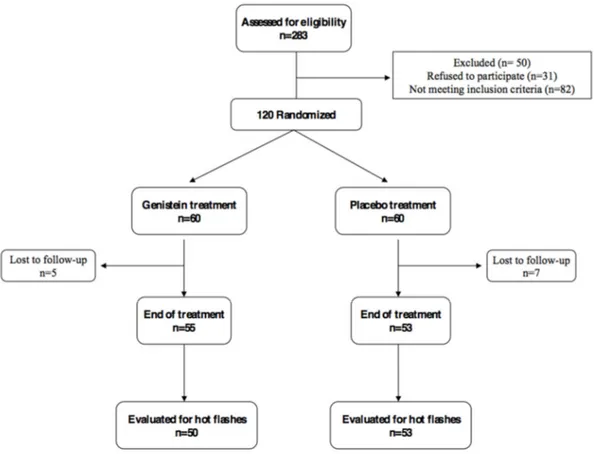 Figure 1. CONSORT diagram (Consolidated Standards of Reporting Trials diagram). The first 11 