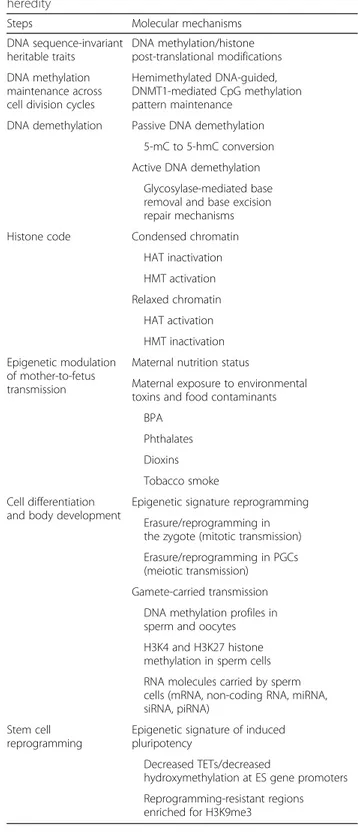 Table 1 Molecular mechanisms of epigenetic transgenerational heredity