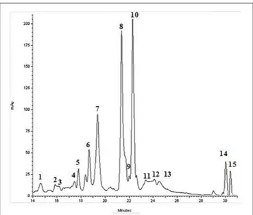 FIGURE 1 | Typical HPLC-DAD chromatograms of BJe recorded at 278 nm. UV-Vis spectrum of the eluted compounds was monitored between 200 and 800 nm