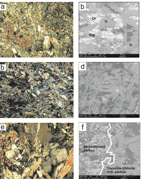Figure 3. Crossed polar light photomicrographs of the representative structures of the studied stone samples (a-c-e) and  SEM-EDS images of some selected area (b-d-f)