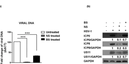 Figure 4. Effect of almond extracts treatment on the HSV-1 replication and on viral antigens’  expression