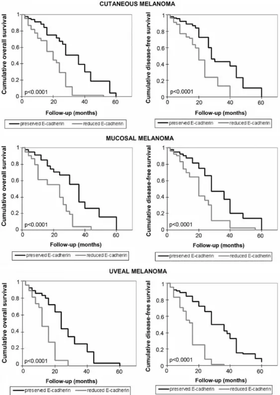 Figure 7. Relationship between E-cadherin content and cumulative overall and disease-free survival in melanoma patients