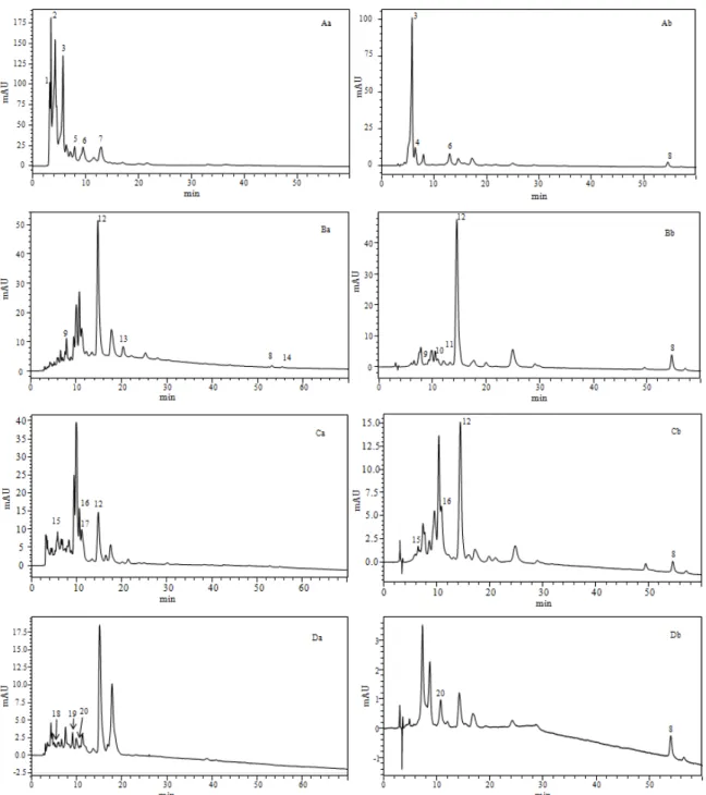 Figure 3. Chromatogram obtained by HPLC–PDA–MS (APCI) of the carotenoids for four species of 